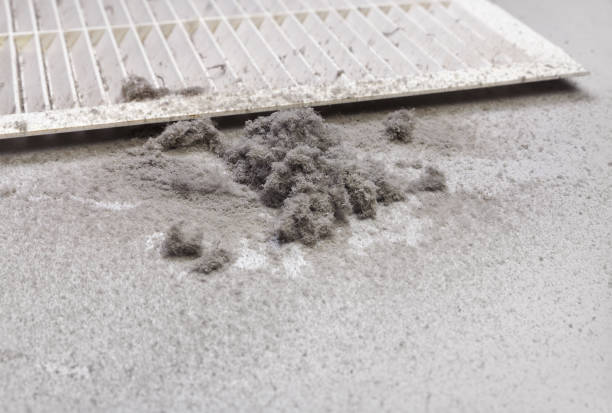 Best Dryer Vent Cleaning Services  in Lemmon, SD