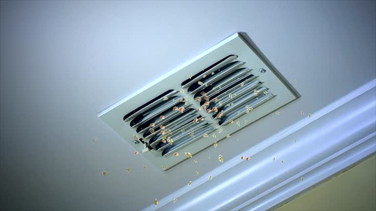 Best Affordable Air Duct Cleaning  in Lemmon, SD